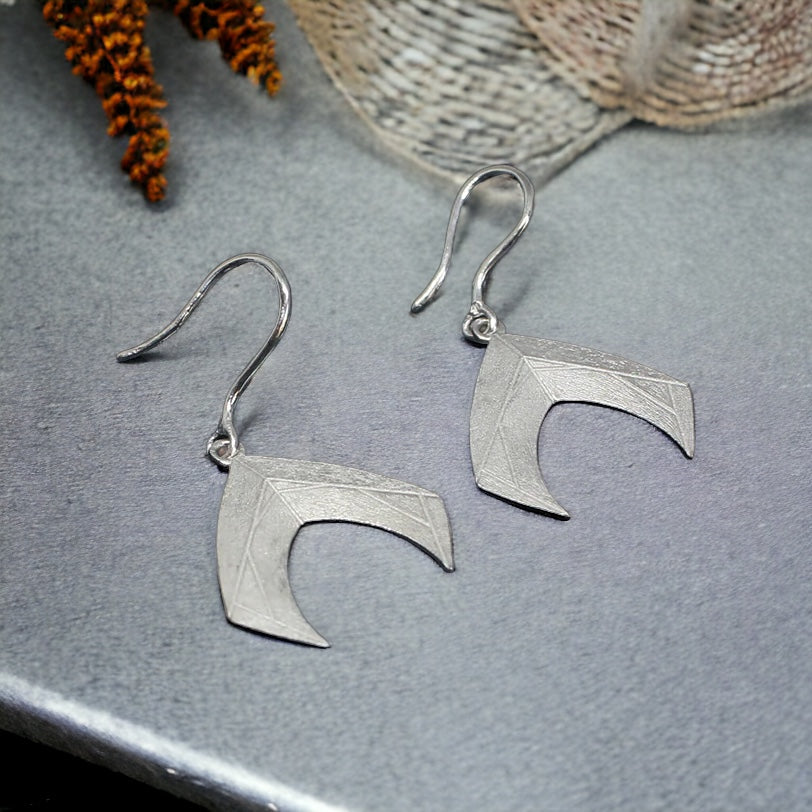 Aquaman Earrings